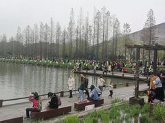 -圩墩遗址公园