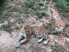 -大连森林动物园