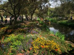 -上海共青森林公园