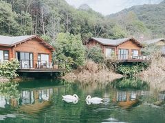 -杭州开元森泊度假乐园