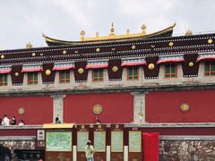 -塔尔寺-菩提树