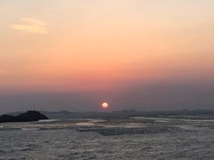 -枸杞岛