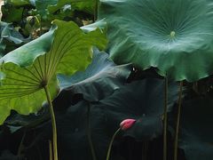 -中国杭州低碳科技馆