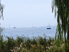 -苏州湾体育公园