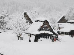 -白川乡与五箇山的合掌构造村落