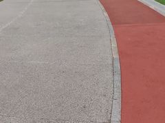 -桃花岛公园