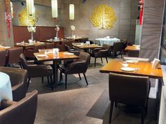 -金枝玉叶上海人家食府(三里河店)
