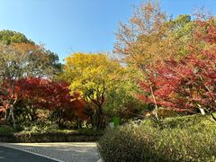-西湖风景区-江洋畈生态公园