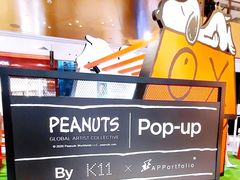 -K11 Design Store