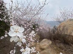-居庸关长城
