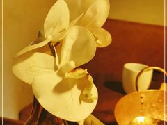 -来龙里 精致 东南亚餐室(万象城店)