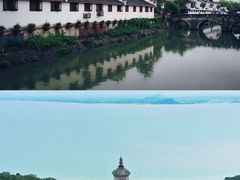 -合肥野生动物园