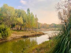 -贡湖湾湿地公园