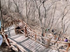 -大岭沟猕猴桃谷风景区