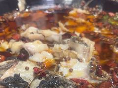 -金三可市井水煮鱼(金碧园店)