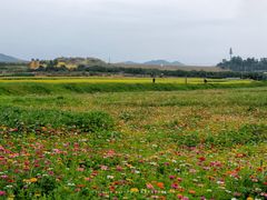 -光明小镇欢乐田园