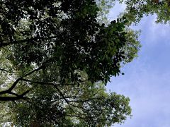 -木渎古镇