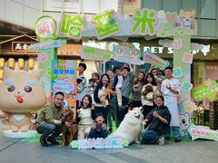 -1013 PET SHOP 宠物商店(近铁城市广场店)