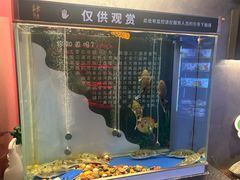 -肆月河豚·新淮扬菜·烤鸭(中关村店)