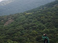 -大姆山草场