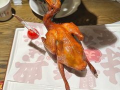 -大鸽饭(岗顶店)