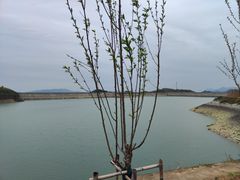 -长沙黑麋峰国家森林公园