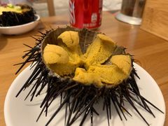 活海胆-海胆小馆(春柳店)