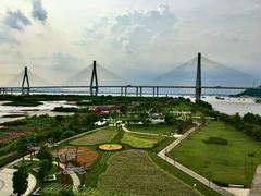 -芒洲湿地公园