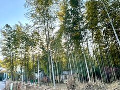 -张鸟园农家乐(张鸟园店)