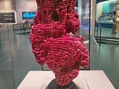 -上海中国航海博物馆