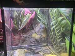 -重庆欢乐海底世界