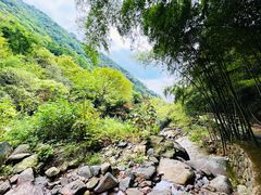 -东天目山风景区