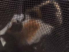 -伟伟宠物医院·CT影像中心·瑞派犬猫综合性门诊(汉口总院)