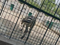 -保定市动物园