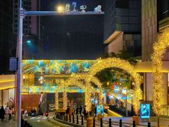 -丁家坡洋芋·观音桥好吃街A区(全国总店)