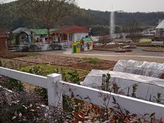 -石塘人家