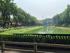 -广州长隆飞鸟乐园