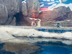 -梦幻海洋王国(吾悦广场张家港店)
