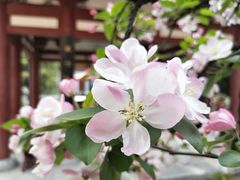 -大唐博相府酒店·陕西官府菜