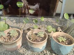 -川匠·睡眠采耳·SPA(九眼桥店)