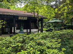 -中国茶叶博物馆(双峰馆区)