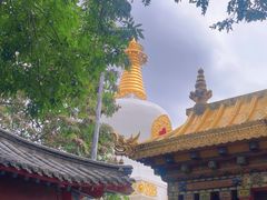 -护国法轮寺