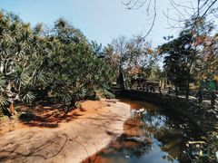 -海南热带野生动植物园