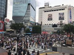 -涩谷区