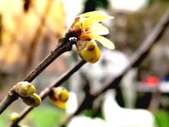 -神旺大酒店-停车场