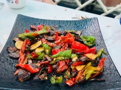 -蘑统田下·野生菌火锅