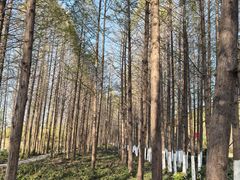 -云龙湖旅游景区