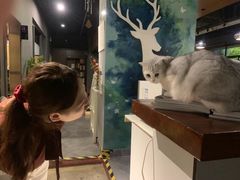 -咖法森林·咖啡  酒吧(天河店)