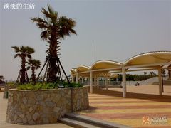 -碧海金沙