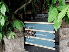 -Timo队长·高端生日派对策划机构(静安寺店)
